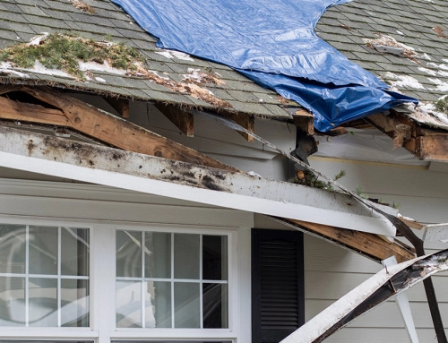 What Makes a House Hard to Sell?