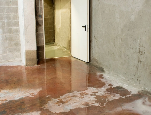 Can You Sell a House With a Wet Basement in Massachusetts?