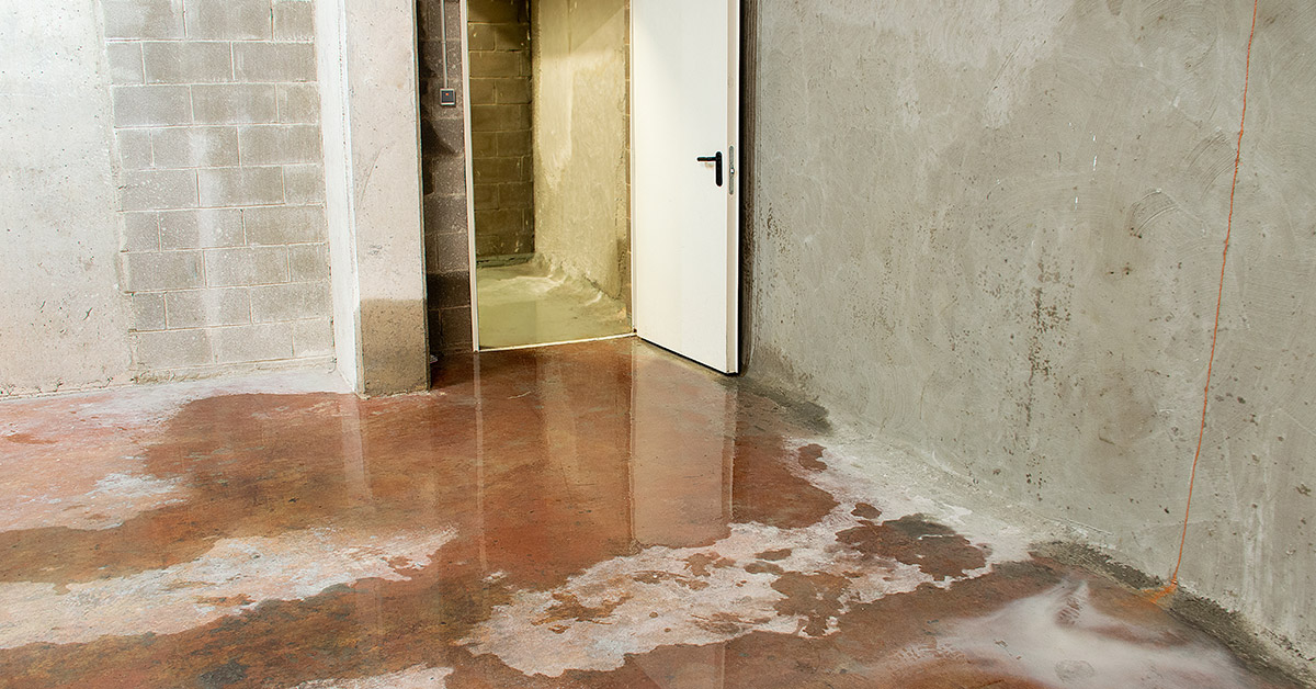 Wet basement in a Massachusetts house for sale
